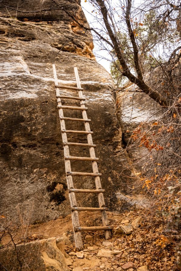 A wooden ladder is going up a rocky cliff.