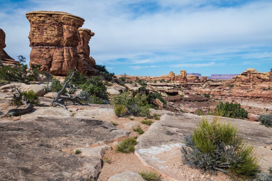 Big Spring Canyon Overlook