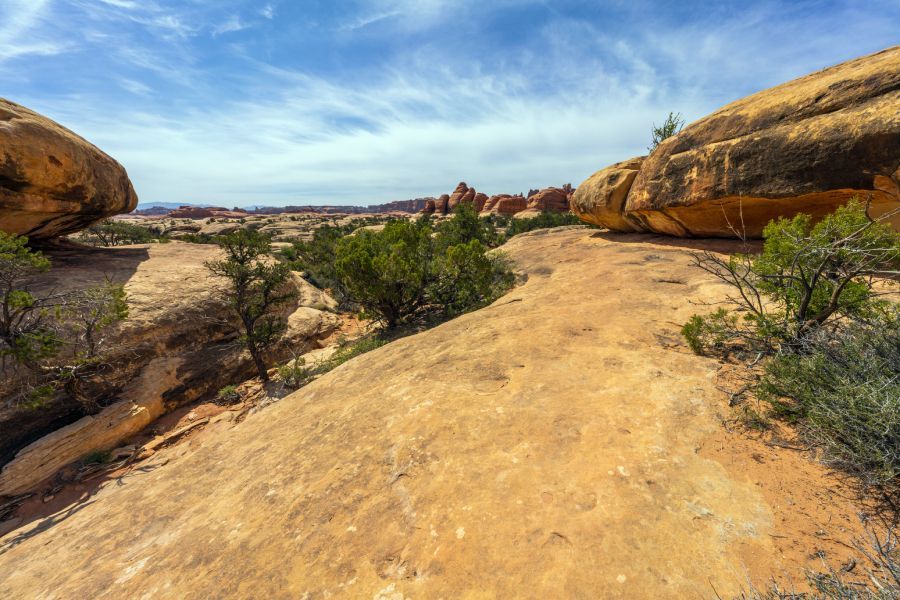 A dirt road in the middle of a desert surrounded by rocks and trees.