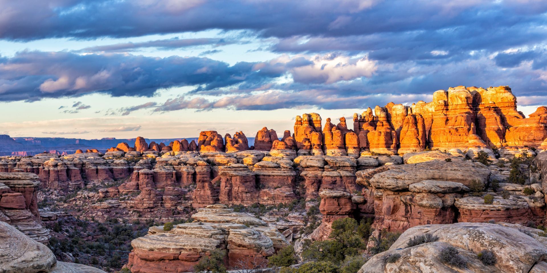 needles district