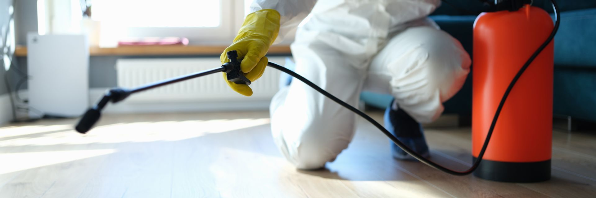 man spraying chemicals for pest control