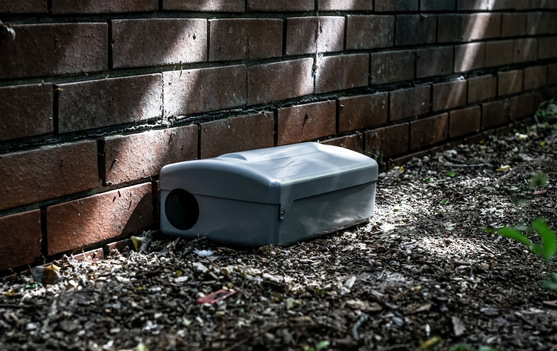 A white box is sitting on the ground next to a brick wall