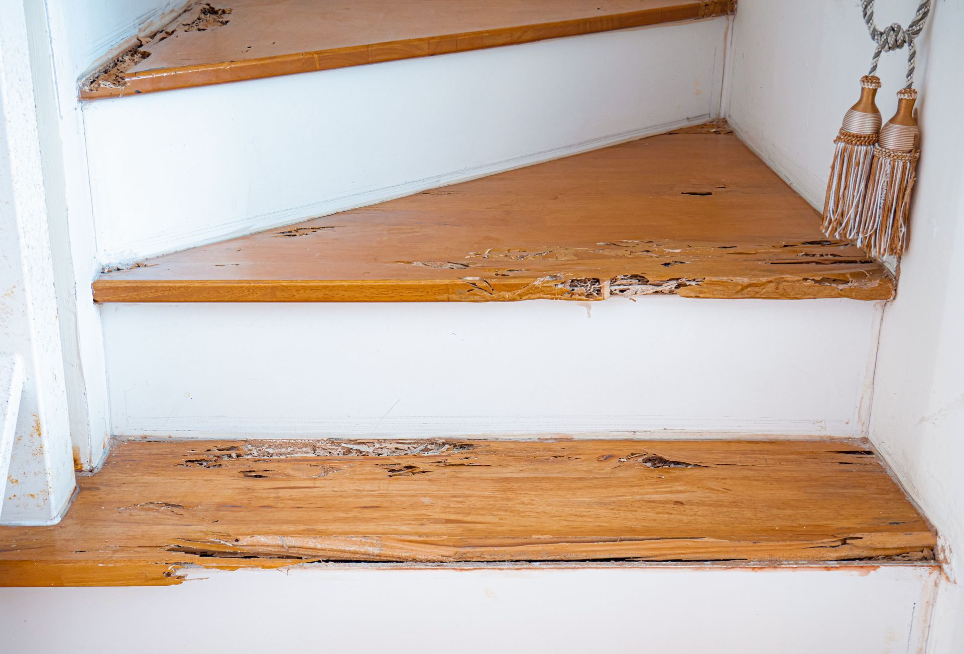 termite infestation on wooden stairs
