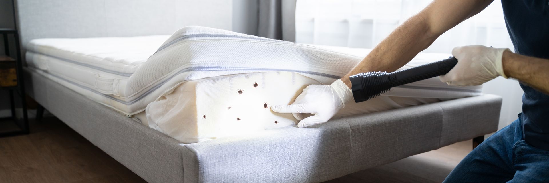 A man is cleaning a bed with a vacuum cleaner.