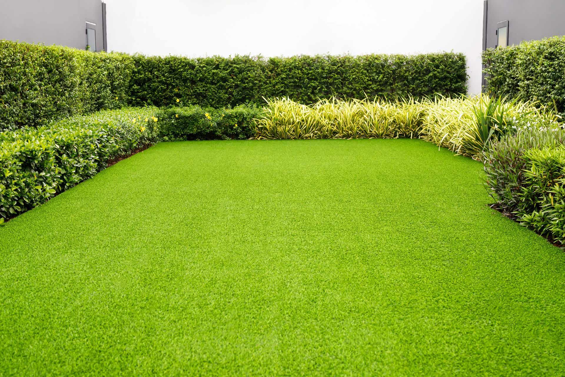 Green artificial turf lawn surrounded by green and yellow hedges.