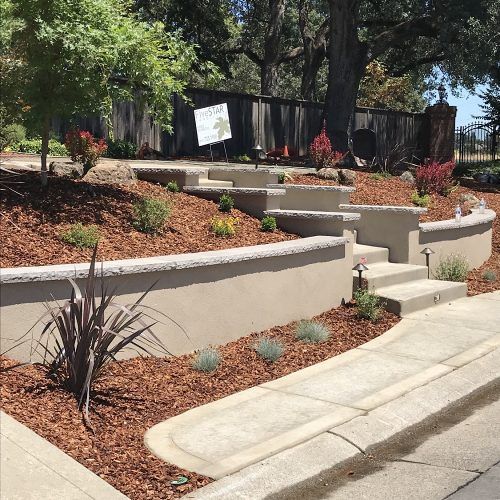 Terraced landscaping with stairs and retaining walls, surrounded by mulch, plants, and a sidewalk.