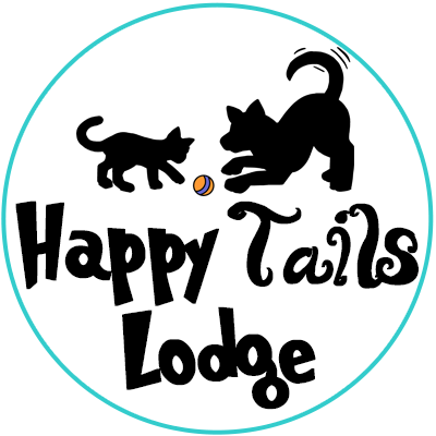 Happy best sale tails website