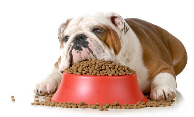 Pedigree Dog Food (Dry)