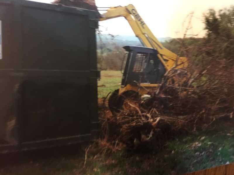 bulldozer moving tree limbs
