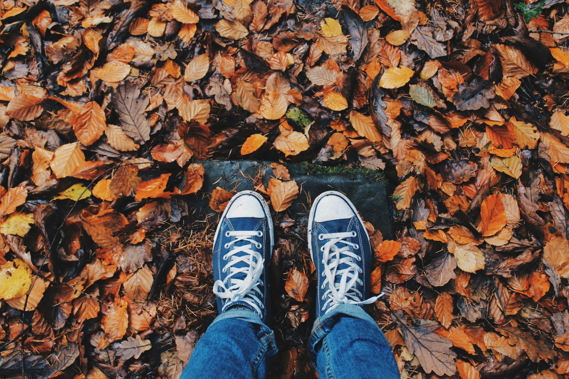 Blue sneakers on a bed of brown and orange autumn leaves.