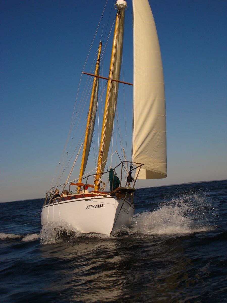 A sailboat with a white sail is in the ocean