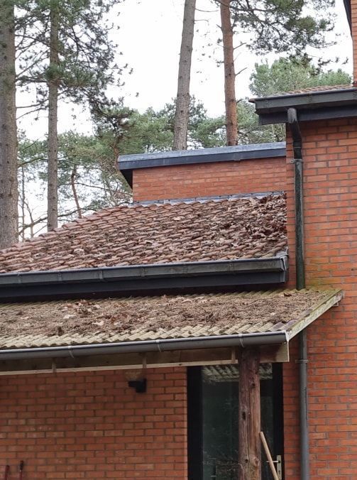 Bladeren in dakgoot kan zorgen voor overlopen van dakgoot bij regen.