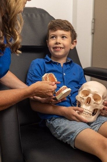 A young boy is sitting in a chair holding a skull and teeth models.