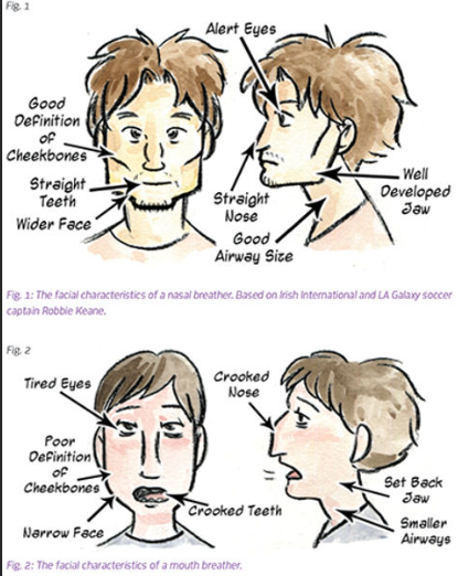 Dysfunction Profile and Healthy Profile of Man