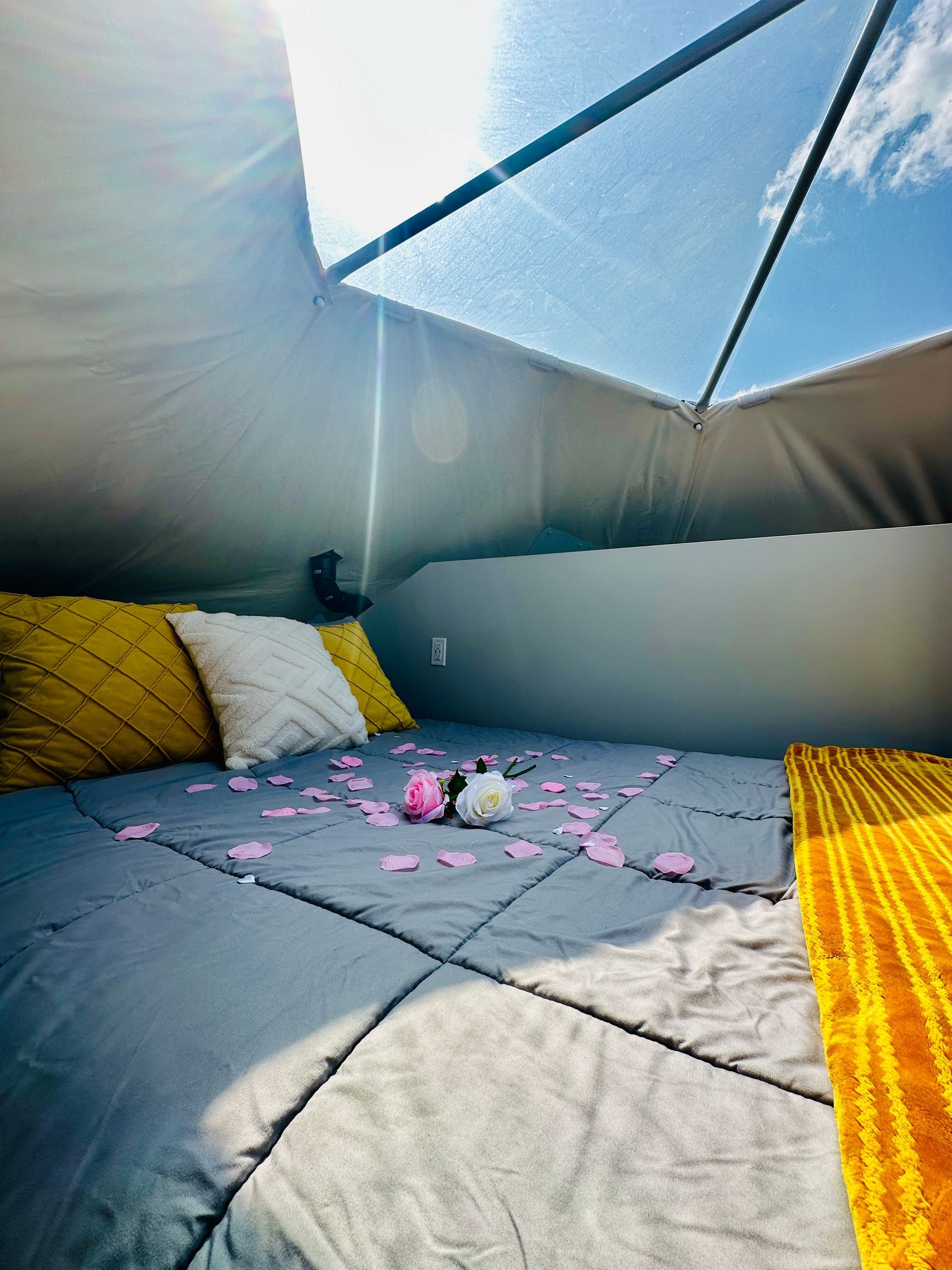 Loft Bed Under The Skylight 