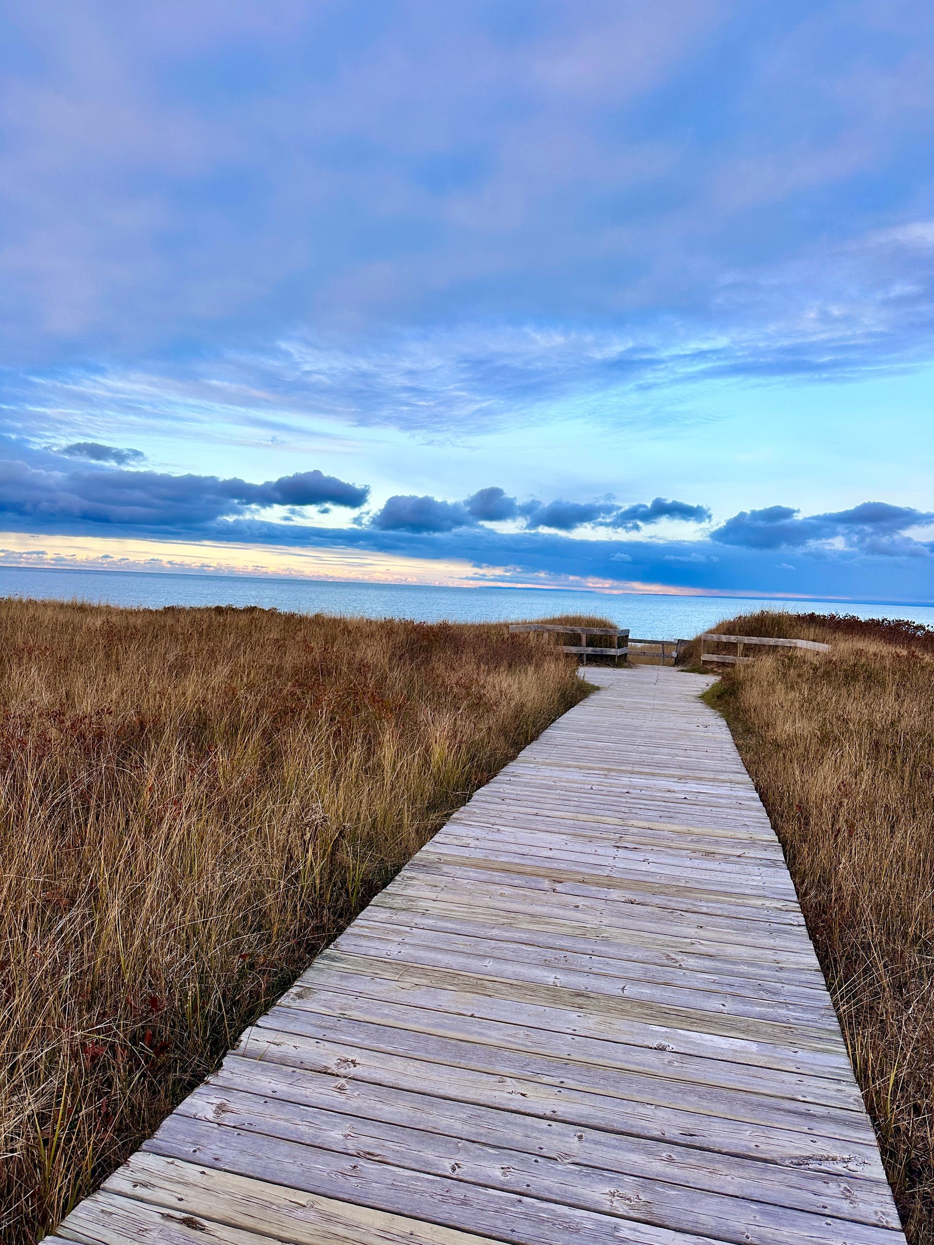 Hiking Trails Nearby