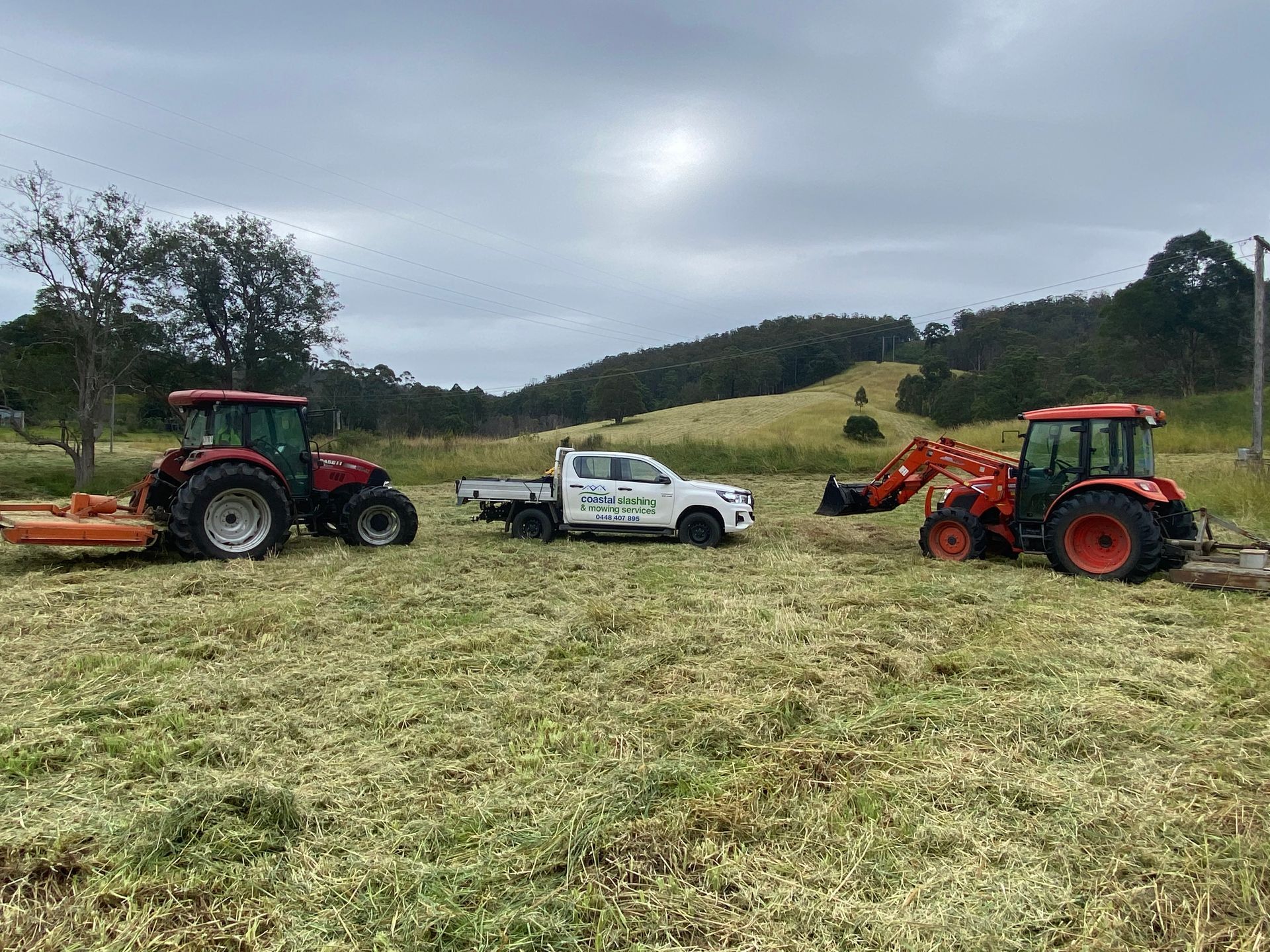 A Person in an Orange High-visibility Shirt Trims — Coastal Slashing & Mowing Services In Tallwoods Village, NSW