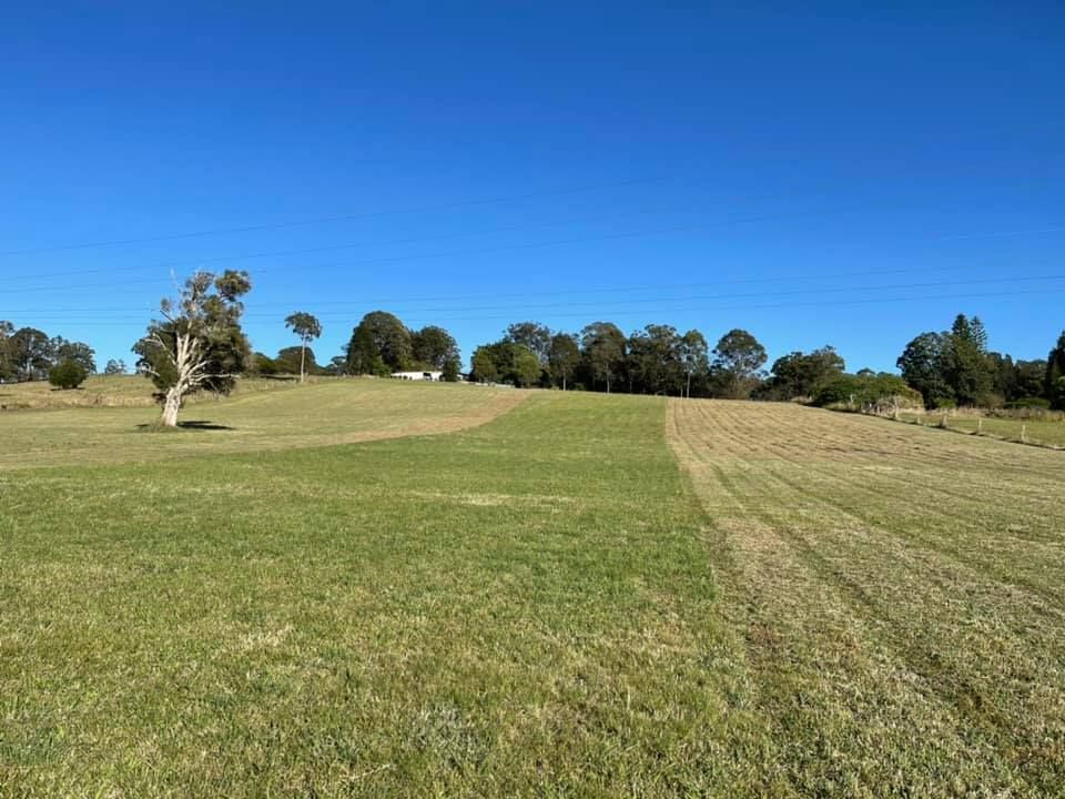 Grassy Field With a Freshly Mowed Strip Under a Blue Sky — Coastal Slashing & Mowing Services In Hallidays Point, NSW