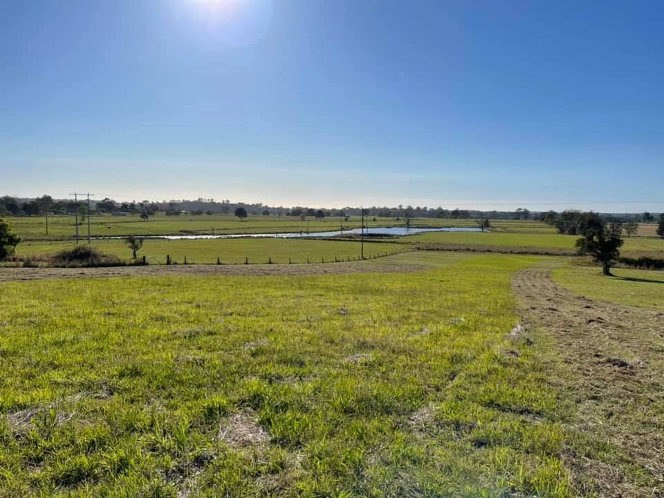 Green Grassy Field With Pond Under a Bright Blue Sky — Coastal Slashing & Mowing Services In Hallidays Point, NSW