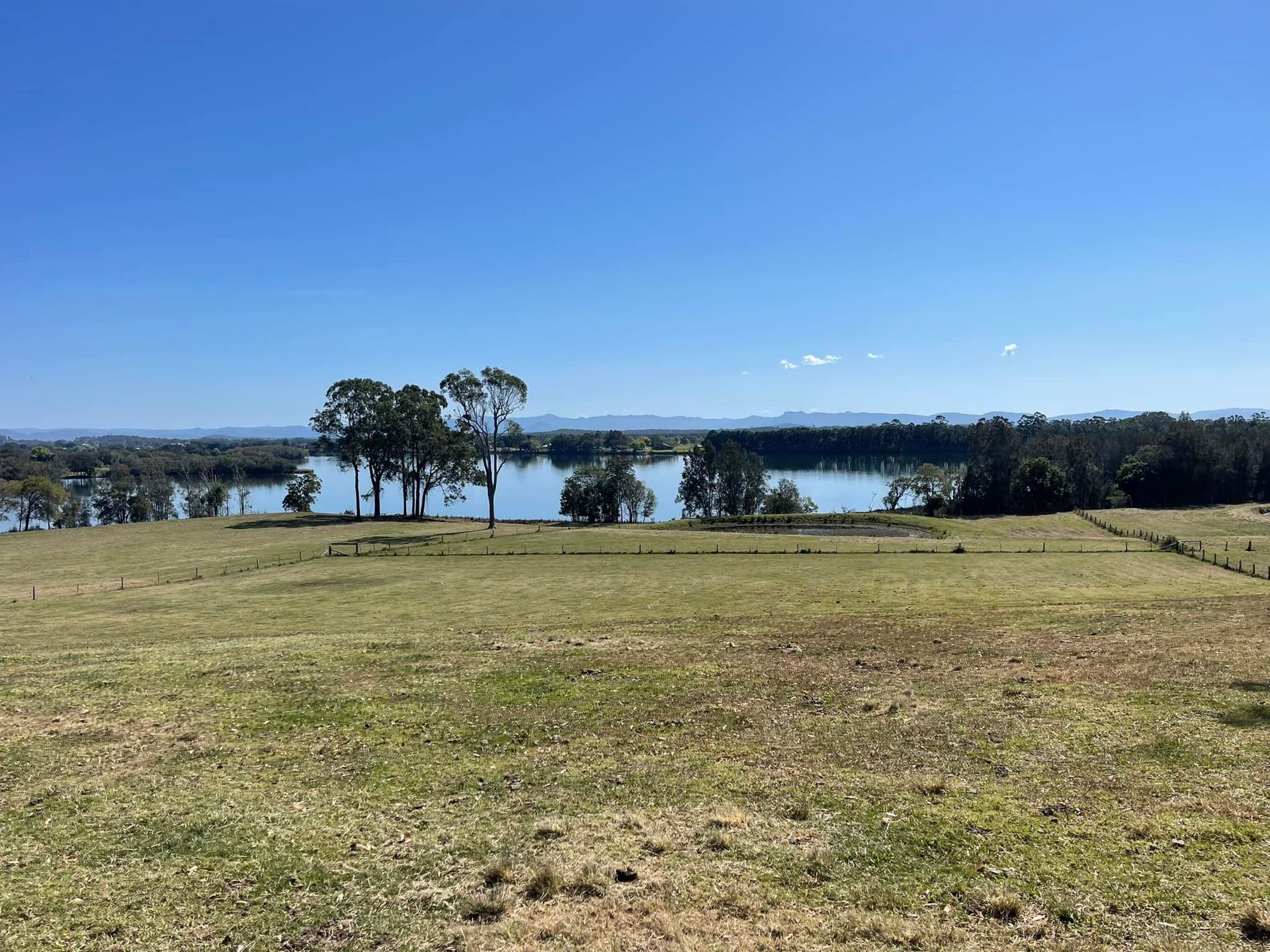 Grassy Field Overlooking a Lake With Trees and a Clear Blue Sky — Coastal Slashing & Mowing Services In Hallidays Point, NSW
