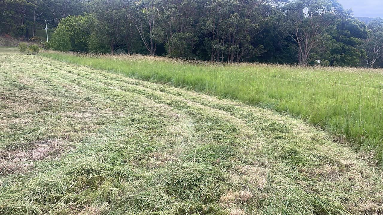 Mowed Field With Rows of Cut Grass, Next to Tall Uncut Grass, Bordered by Trees — Coastal Slashing & Mowing Services In Tallwoods Village, NSW