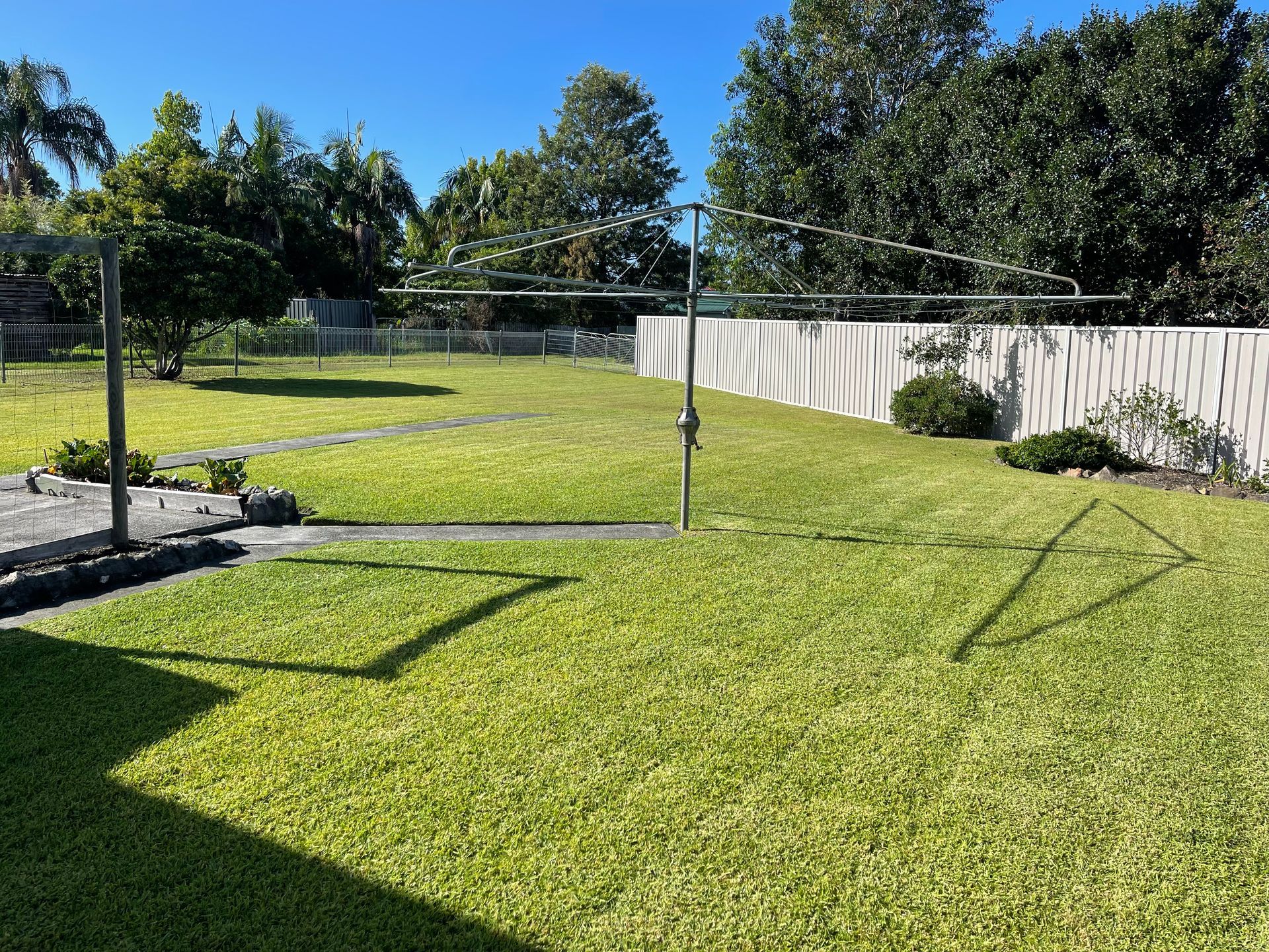 Green backyard with clothesline, fence, and trees under a clear sky — Coastal Slashing & Mowing Services In Taree, NSW