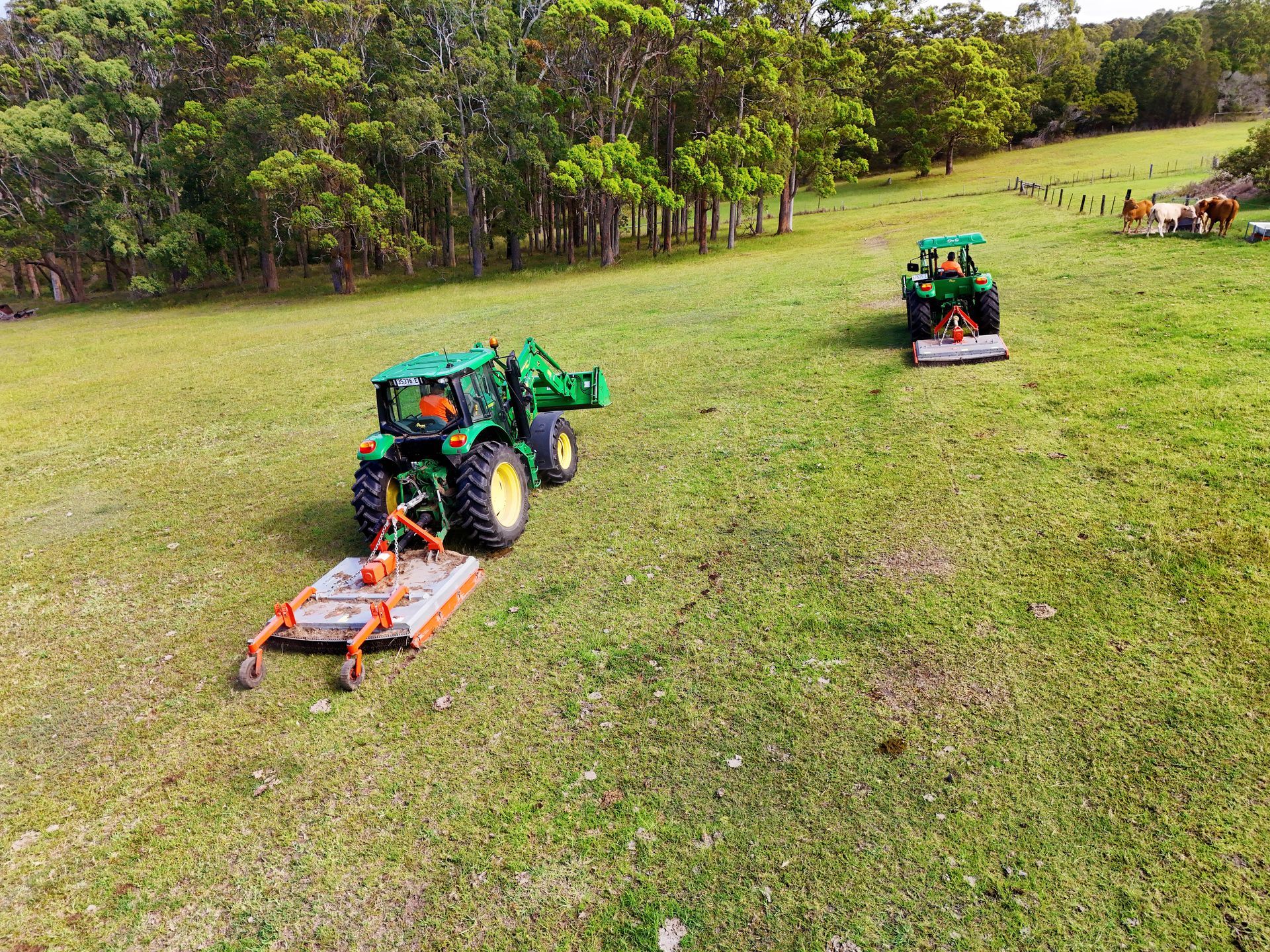 A tractor mowing a field on a sunny day — Coastal Slashing & Mowing Services In Tallwoods Village, NSW