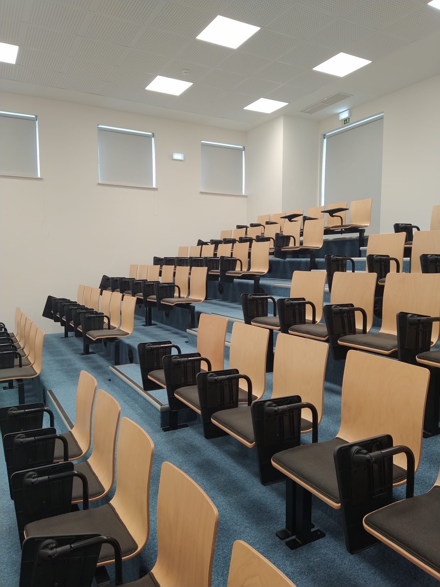 Fileiras de assentos em níveis em um auditório. Cadeiras de madeira clara e pretas. Carpete azul. Paredes e teto brancos.