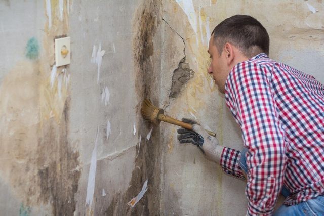 Professional contractor scrubbing mold off a damaged concrete wall.