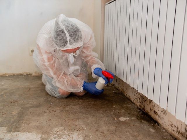Specialist kneeling to treat mold growth near a baseboard heater.