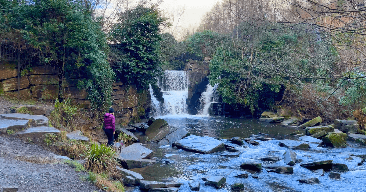 A waterfall is surrounded by trees and rocks in the middle of a forest.