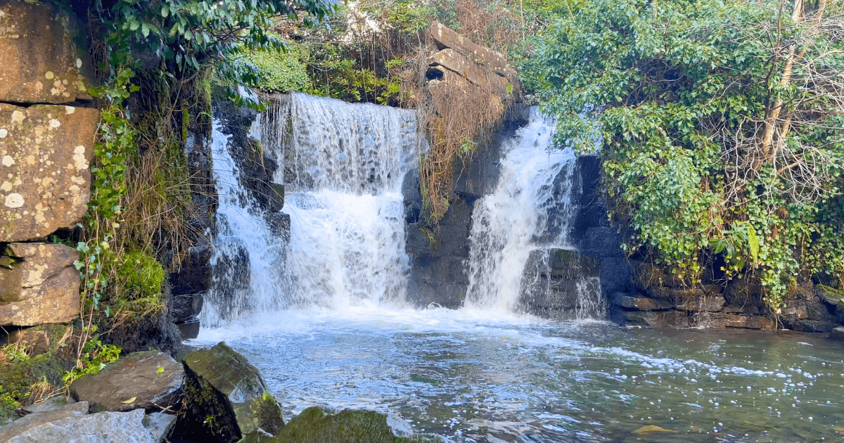 A waterfall is surrounded by trees and rocks in the middle of a forest.