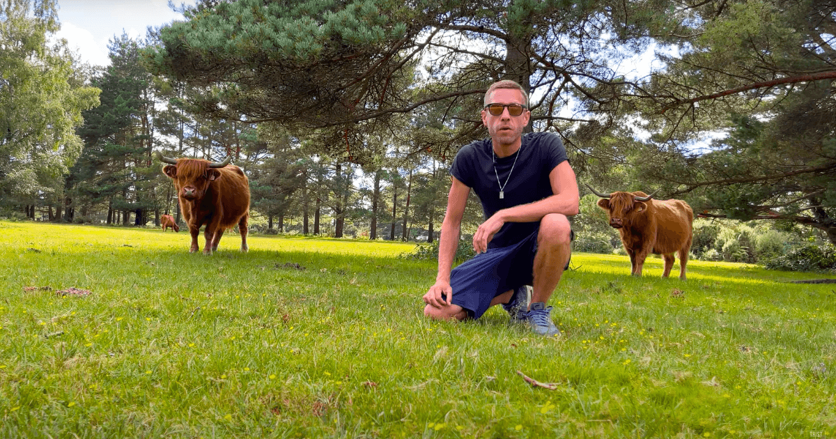 a man is kneeling in the grass next to a herd of cows .