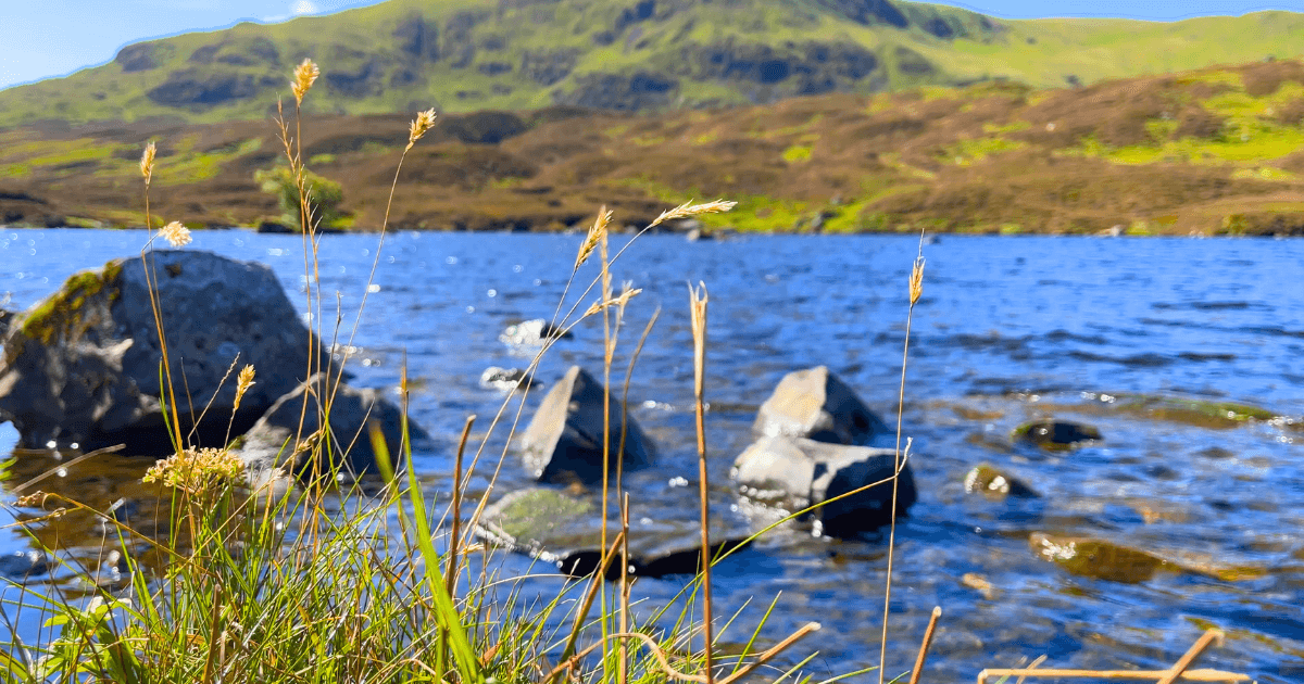 A lake with rocks and grass in the foreground and mountains in the background.