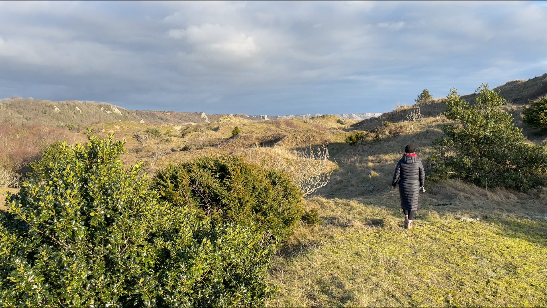 Oxwich Bay Nature Reserve