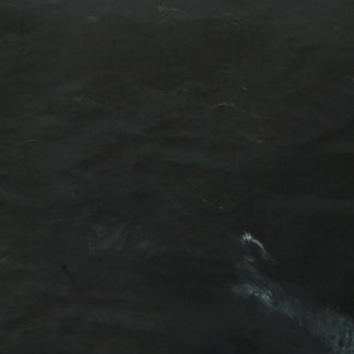 A person is swimming in the ocean in the dark.