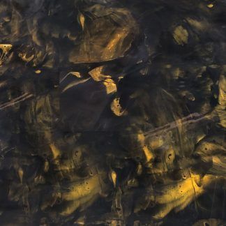 A close up of a black and gold painting.