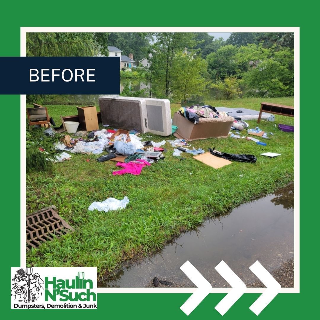 Property Cleanup before image