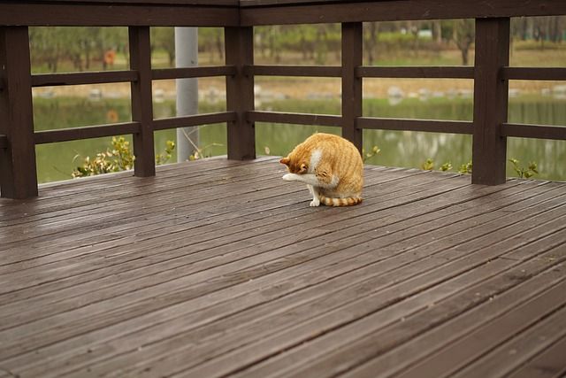 The Benefits of Pressure Washing Your Decks in Hawaii