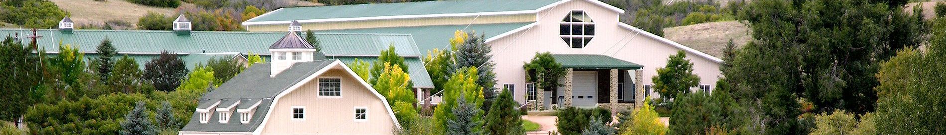 Steel Buildings