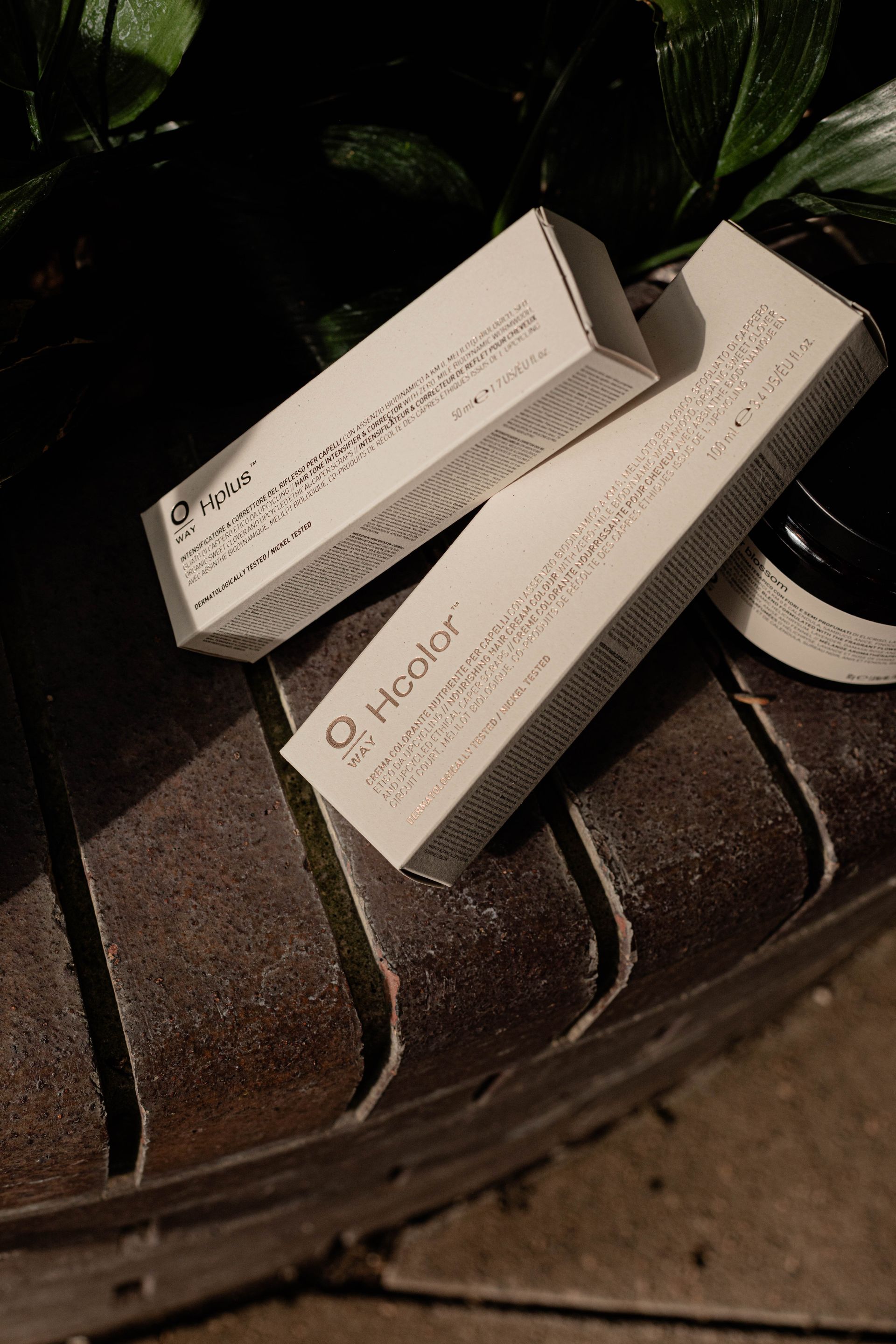 Flat lay with hair dye tube, natural ingredients, and O Way bag.