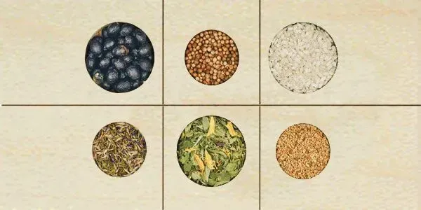 Six circular samples of crops: berries, grains, and herbs on a light background.