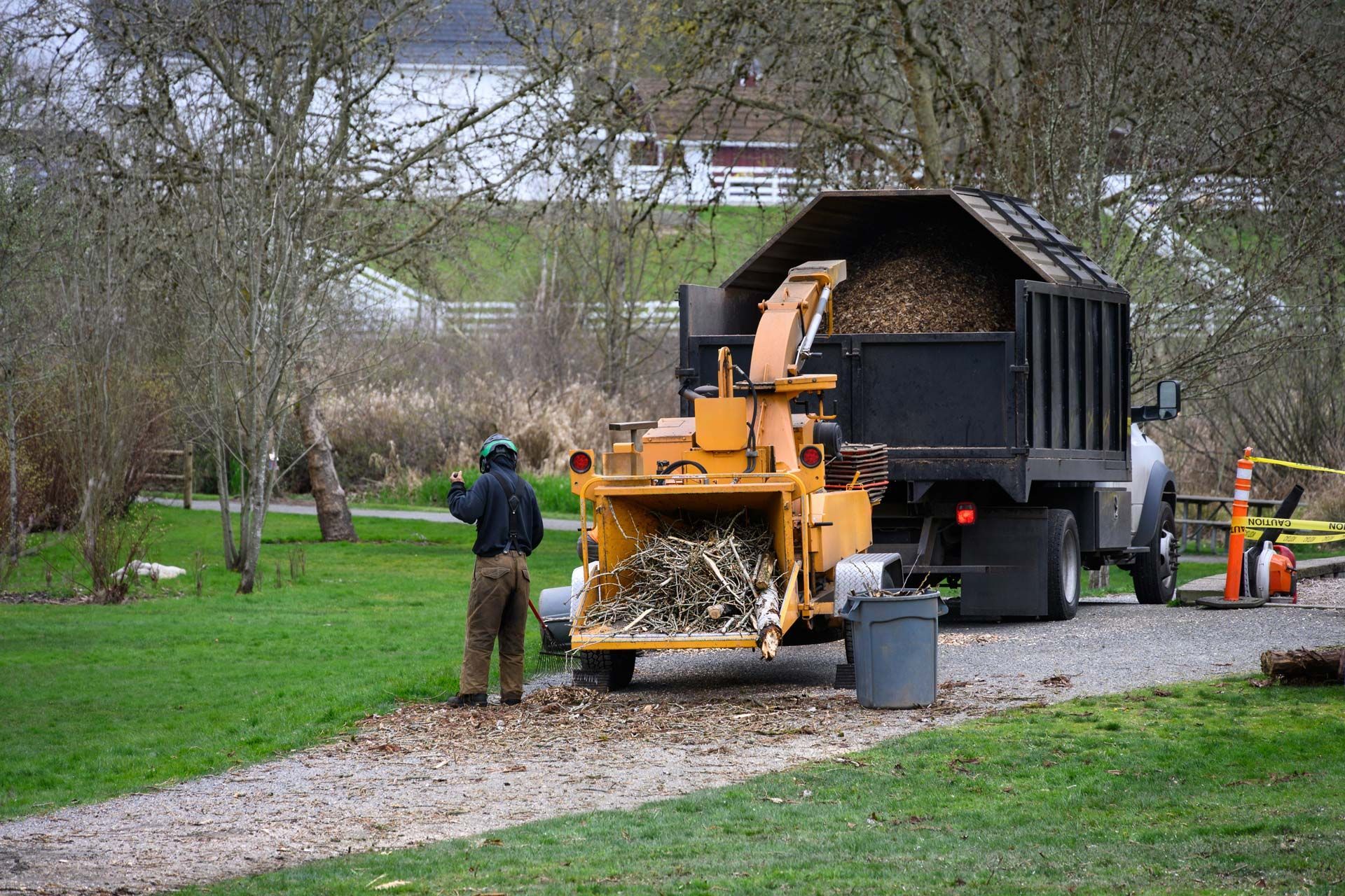A person feeding branches into a wood chipper, with a truck bed filling with wood chips in a park.
