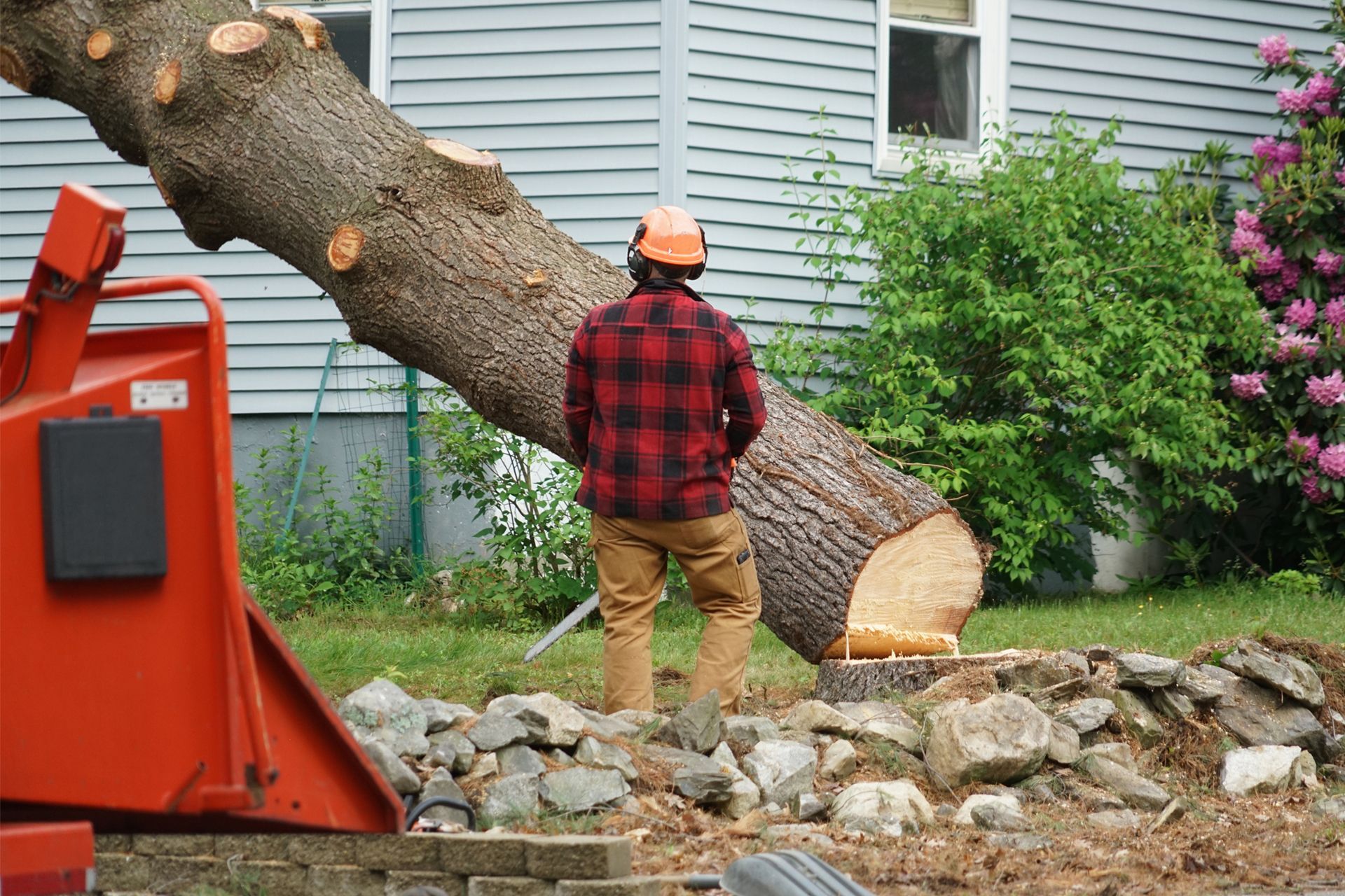 Arborist wearing a hard hat and plaid shirt near a fallen tree trunk in front of a house.