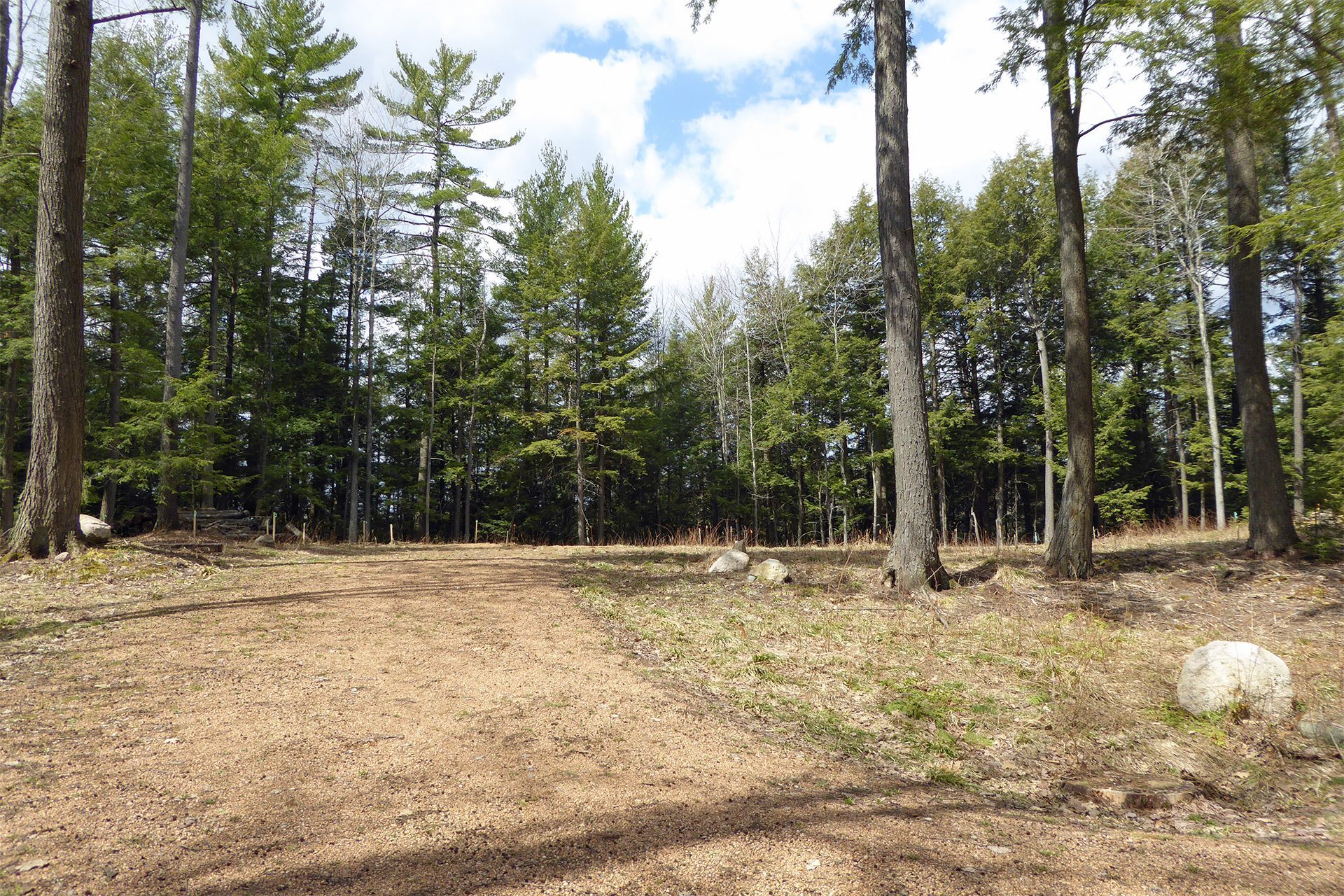 Dirt clearing in a forest with tall green trees and fallen leaves on the ground.