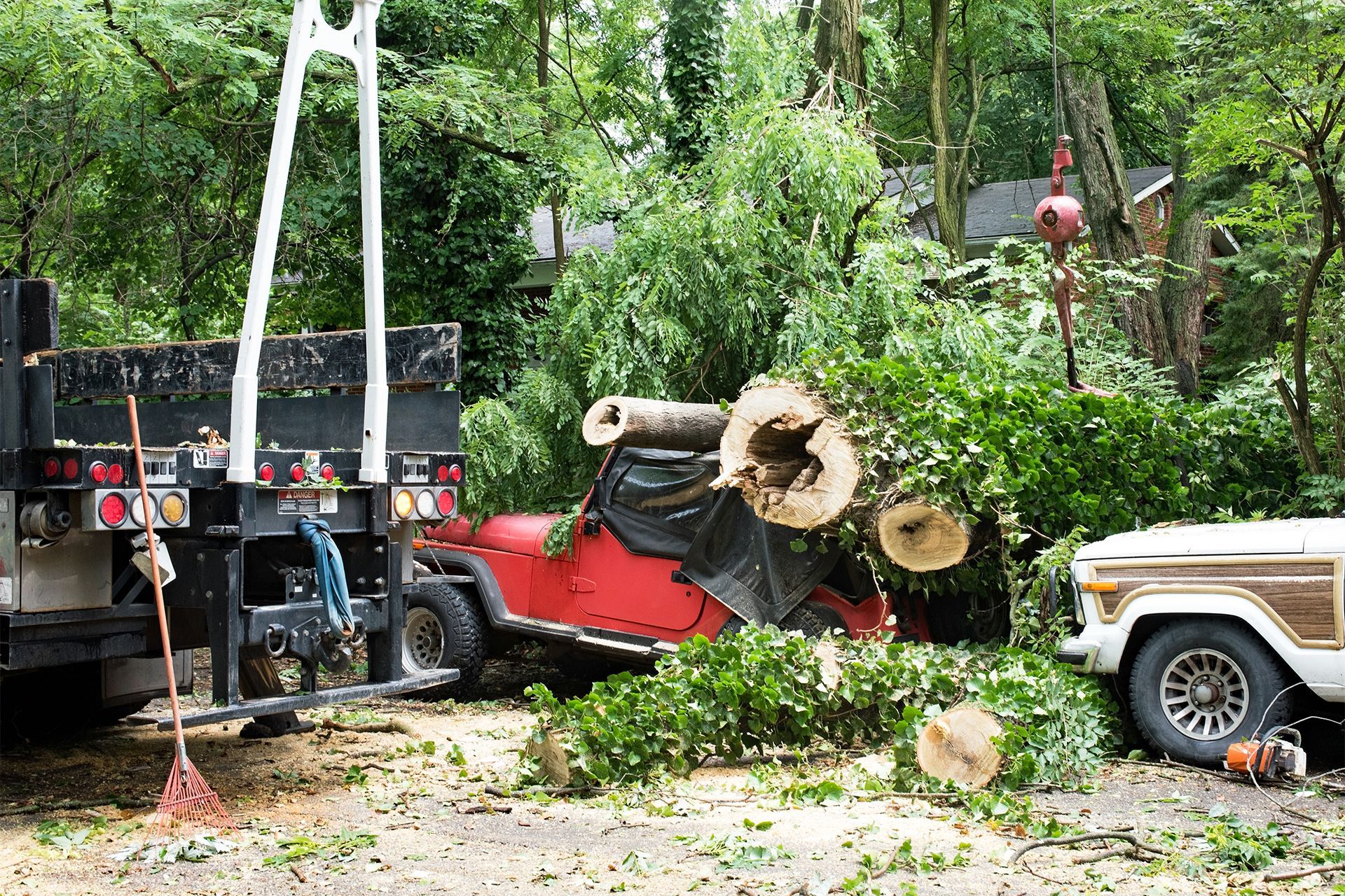 A red Jeep crushed by a large tree branch; a truck and a white station wagon are nearby.