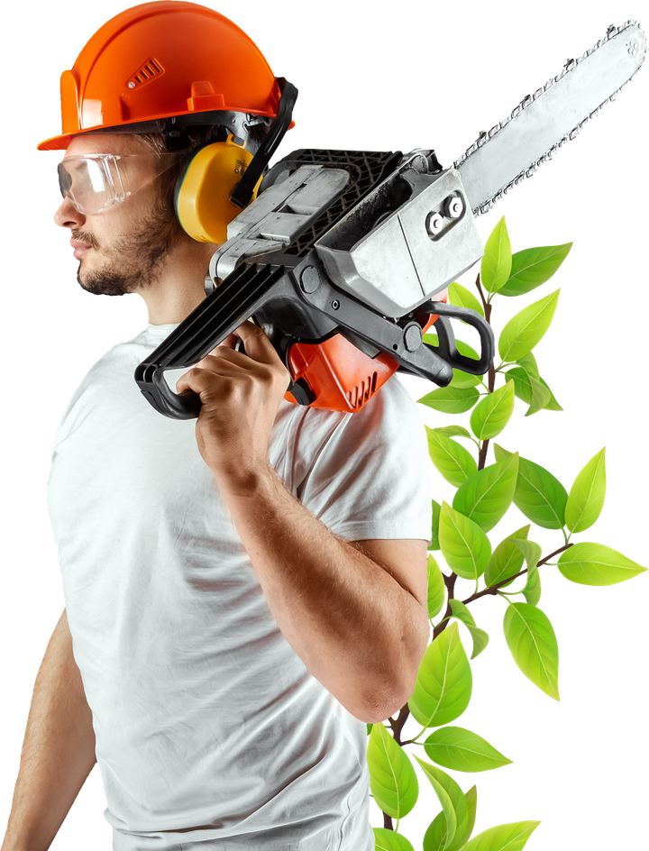 Person in safety gear carrying a chainsaw.