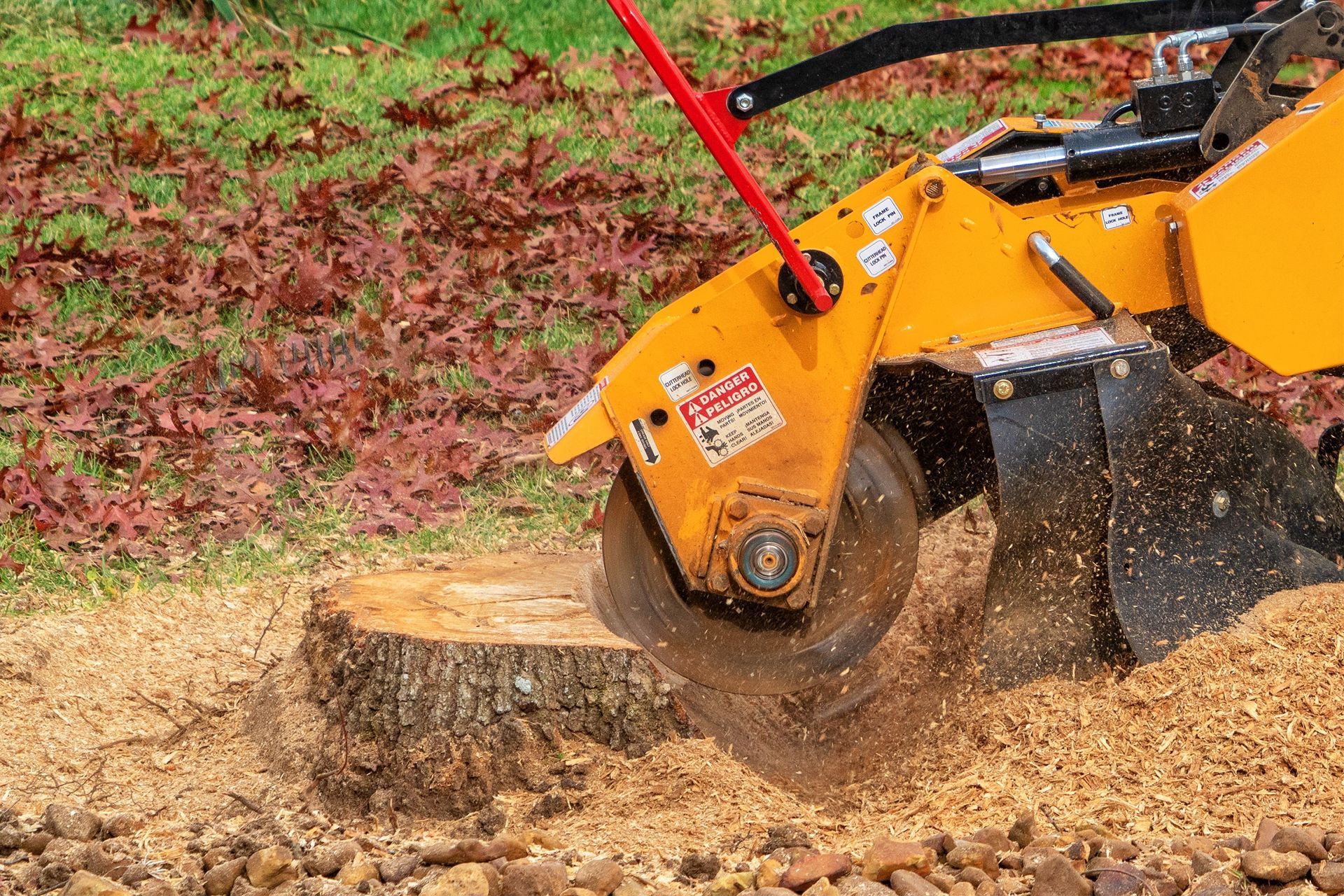 A yellow stump grinder grinding a tree stump into wood chips.