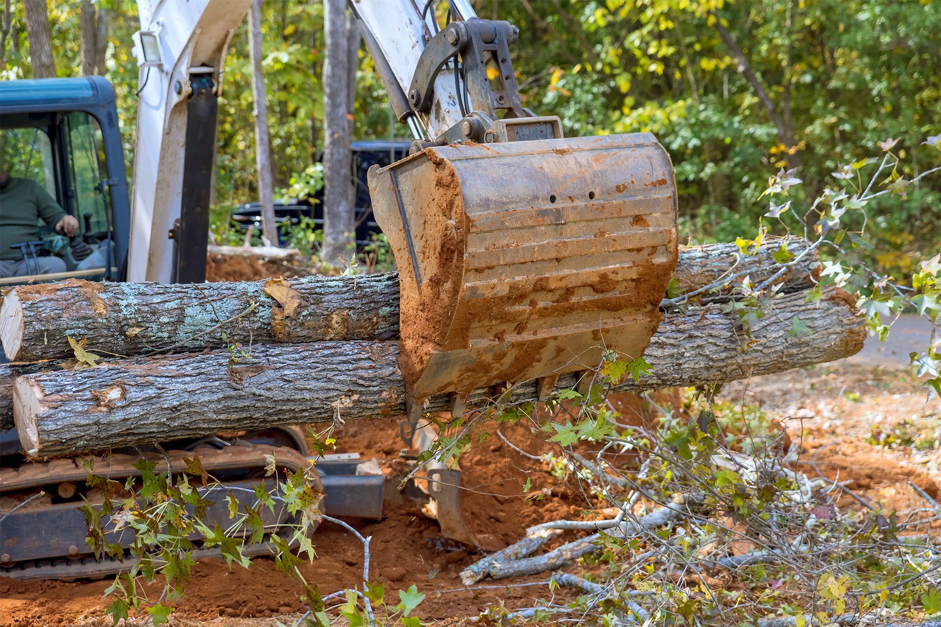 Excavator bucket lifting logs outdoors, driver in cab.