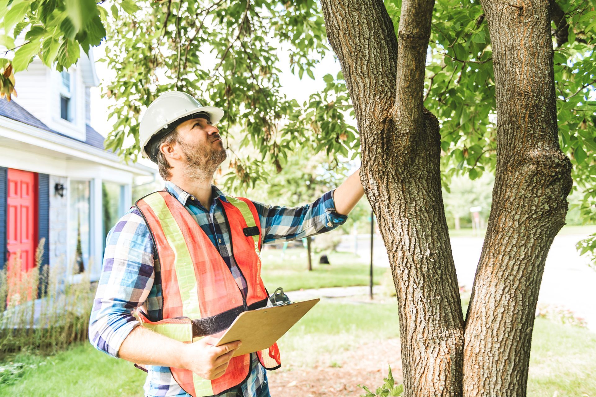 Man in hard hat and vest inspecting tree with clipboard outside house.
